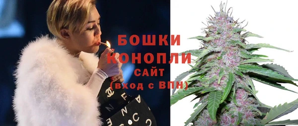 соль ск Осинники