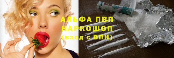 стафф Осташков