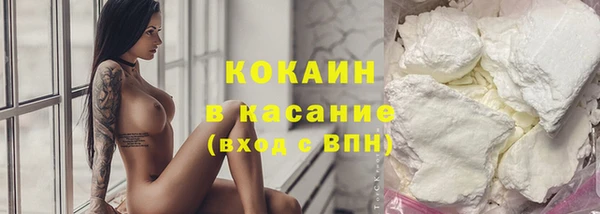 индика Няндома