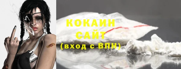 индика Няндома