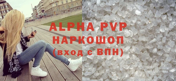 стафф Осташков