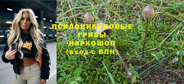 МДПВ Нягань