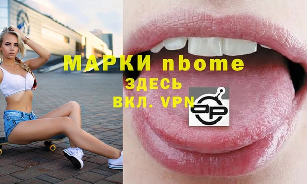 индика Няндома