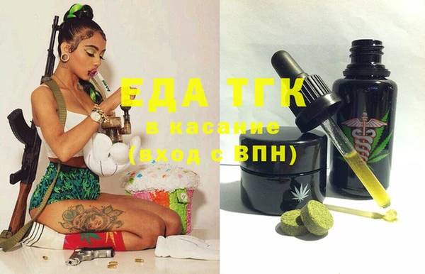 индика Няндома