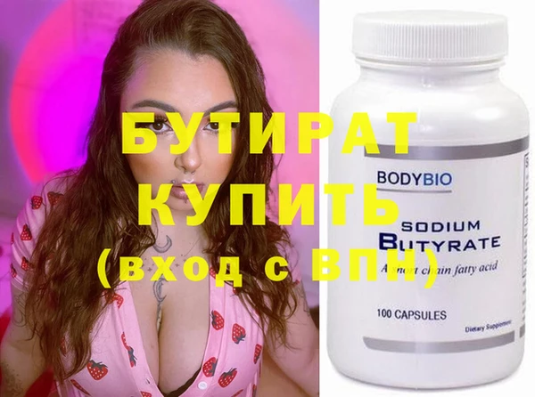 индика Няндома