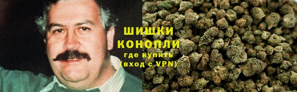 стафф Осташков