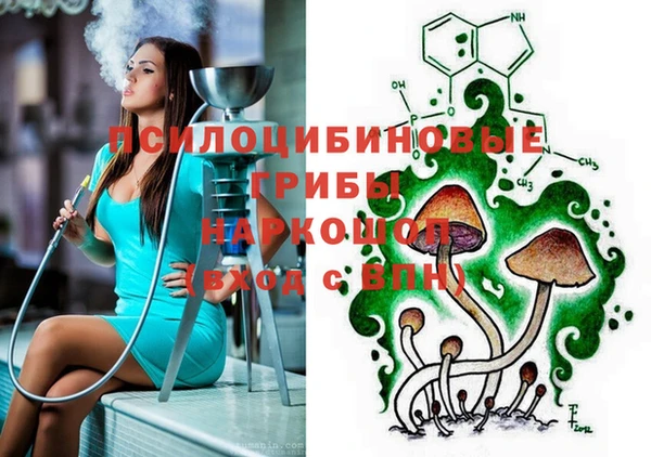 соль ск Осинники