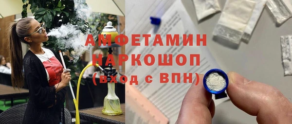 индика Няндома