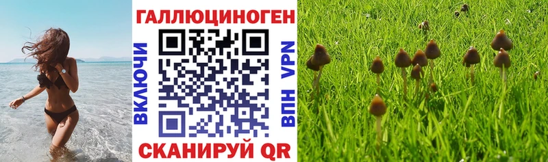 Галлюциногенные грибы мухоморы Родники