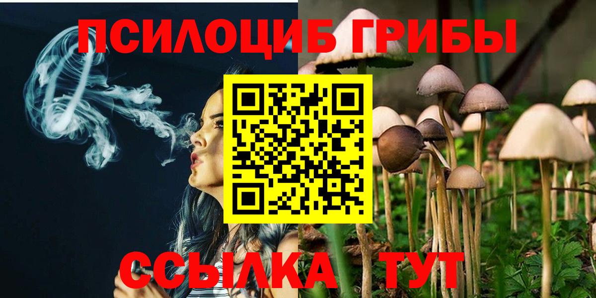 Псилоцибиновые грибы ЛСД Родники