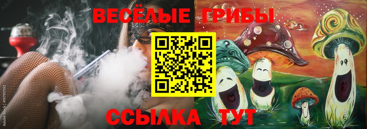 Родники  Галлюциногенные грибы Psilocybe  наркота  Вход с VPN 